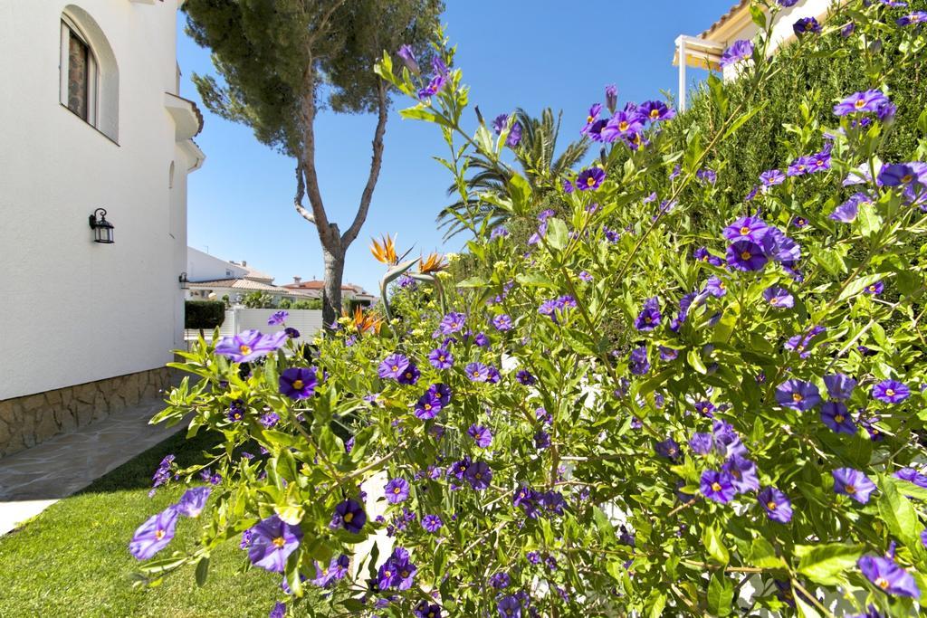Arenda Pino Alto Villa Gallo Miami Playa Rom bilde